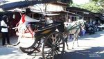 Napak Tilas Delanggu, Klaten: Antara Rojo Lele dan Gula Kolonial