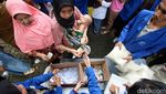 Warga Antusias Antre Sembako Murah di Jakarta Warga Antusias Antre Sembako Murah di Jakarta