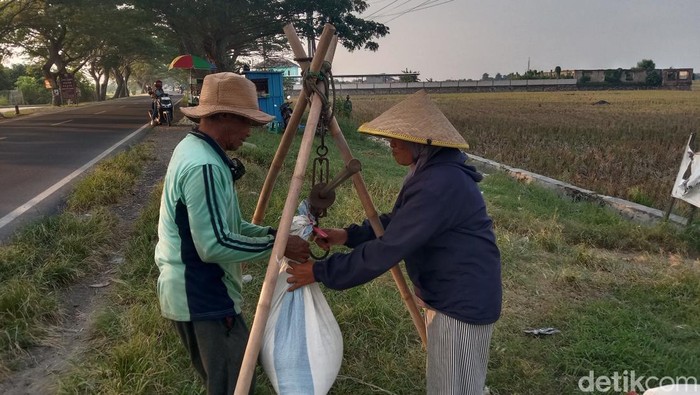 Aktivitas jual-beli gabah di Indramayu.