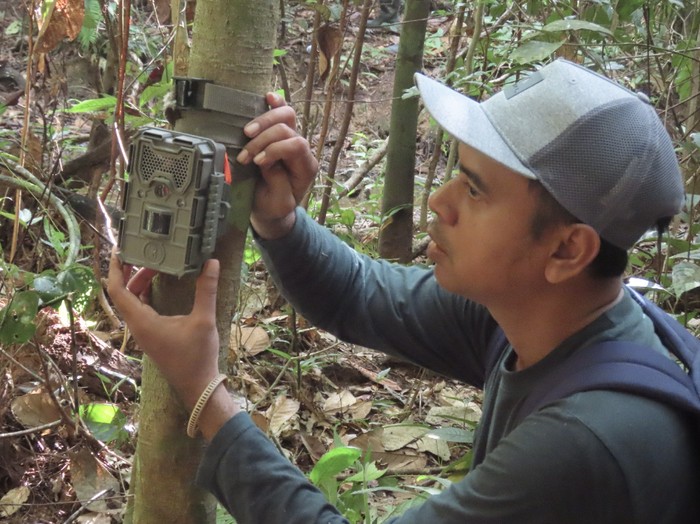 Contoh kegiatan survei biodiversitas dengan pemasangan camera trap di lanskap IKN