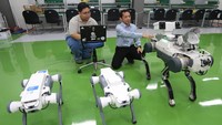 Koordinator tim robotika Institut Teknologi Sepuluh Nopember (ITS) Muhtadin memasang perangkat pada robot anjing berkaki empat di Gedung Pusat Robotika ITS, Surabaya, Jawa Timur.