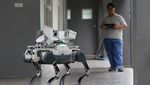 ITS Kembangkan Robot Anjing Bisa Jalan Sendiri dan Deteksi Bahaya