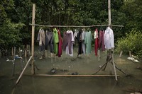 Mangrove Action Project 2024