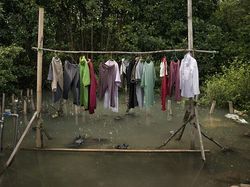Karya Memukau Jawara Kontes Foto Mangrove, Ada dari Indonesia