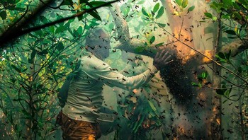 Pemburu Madu Oleh Muhammad Mostafigur Rahman, Bangladesh Foto: Mangrove Action Project