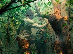 Karya Memukau Jawara Kontes Foto Mangrove, Ada dari Indonesia