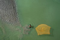 Mangrove Action Project 2024