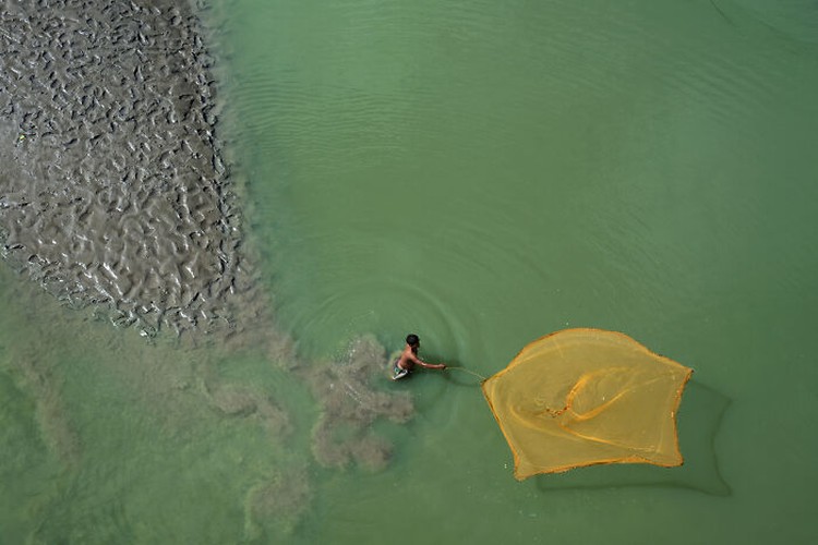 Mangrove Action Project 2024