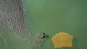 “Mata Pencaharian” Oleh Rajesh Dhar, India Foto: Mangrove Action Project
