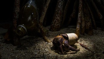 Teater Plastik Oleh Emanuele Biggi, Malaysia Foto: Mangrove Action Project