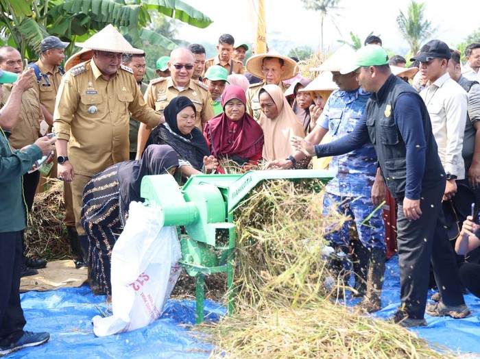 Panen raya di Kabupaten Bogor.