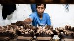 Penghapusan Utang Belum Capai Target 1 Juta UMKM
