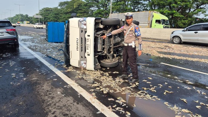 Pikap muat udang terguling di Tol Waru-Sidoarjo