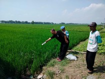Terpeleset Masuk Sawah, Pria Sragen Tewas Kesetrum Jebakan Tikus