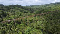 Jembatan kereta api terpanjang di Indonesia dengan bentangan 310 meter yang dibangun pada zaman Pemerintahan Belanda tahun 1913-1916 itu, pernah menjadi lintasan kereta api jurusan Banjar-Cijulang.  