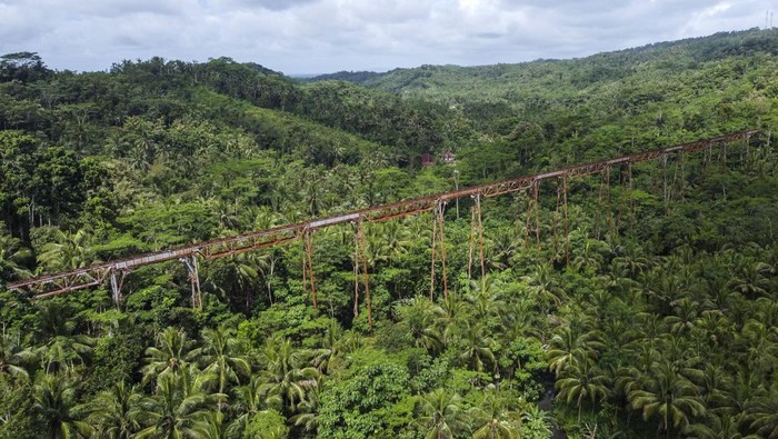 Foto udara jembatan rel kereta api Cikacepit di Desa Pamotan, Kabupaten Pangandaran, Jawa Barat, Rabu (7/5/2025). Jembatan kereta api terpanjang di Indonesia dengan bentangan 310 meter yang dibangun pada zaman Pemerintahan Belanda tahun 1913-1916 itu, pernah menjadi lintasan kereta api jurusan Banjar-Cijulang dan rencananya Pemerintah Provinsi Jawa Barat akan reaktivasi jalur kereta api di Jawa Barat senilai Rp15 triliun. ANTARA FOTO/Adeng Bustomi/YU