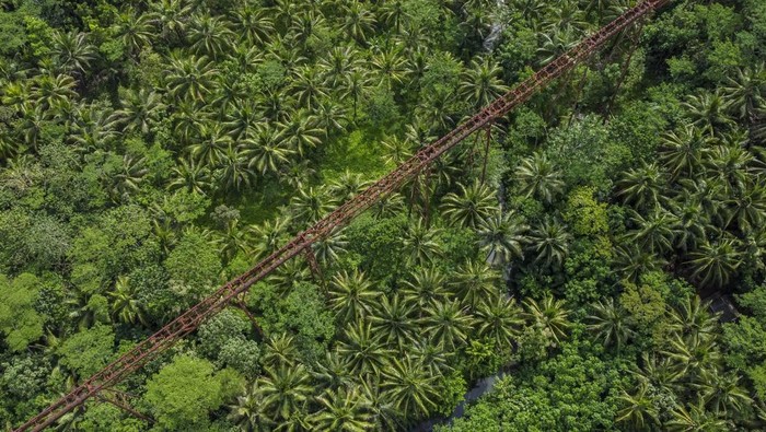 Foto udara jembatan rel kereta api Cikacepit di Desa Pamotan, Kabupaten Pangandaran, Jawa Barat, Rabu (7/5/2025). Jembatan kereta api terpanjang di Indonesia dengan bentangan 310 meter yang dibangun pada zaman Pemerintahan Belanda tahun 1913-1916 itu, pernah menjadi lintasan kereta api jurusan Banjar-Cijulang dan rencananya Pemerintah Provinsi Jawa Barat akan reaktivasi jalur kereta api di Jawa Barat senilai Rp15 triliun. ANTARA FOTO/Adeng Bustomi/YU