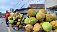 Di Pasar Buah Ranuyoso, harga kelapa kecil saat ini dijual Rp 8.000 per butir, sementara kelapa berukuran besar dibanderol Rp 10.000 per butir.