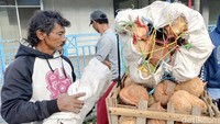 Perbedaan harga ini membuat banyak pedagang dari luar daerah rela datang ke Lumajang untuk membeli dalam jumlah besar guna dijual kembali di daerahnya masing-masing.