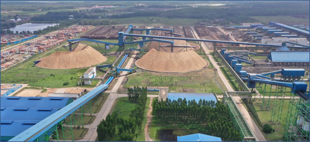 PT OKI Pulp & Paper Mills. (Dok. OKI Pulp & Paper Mills)