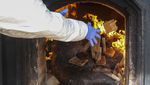 2,9 Ton Daging Babi Hutan Selundupan Dimusnahkan di Cilegon