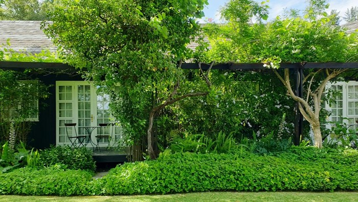 Ilustrasi halaman rumah yang dipenuhi rumput hijau.
