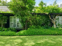 Segini Jarak Aman Tanam Pohon di Rumah
