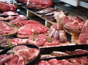 Terungkap! Masyarakat di Negara Ini Masih Mengonsumsi Daging Anjing