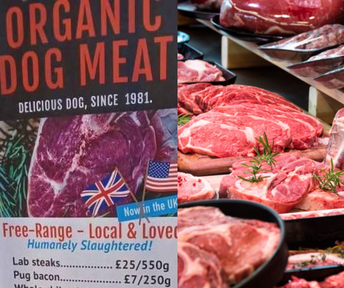 Kios Ini Dikecam Karena Jual Daging Anjing, Ternyata karena Alasan Ini