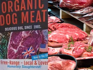 Jual Daging Anjing, Kedai Ini Ternyata Punya Maksud Lain