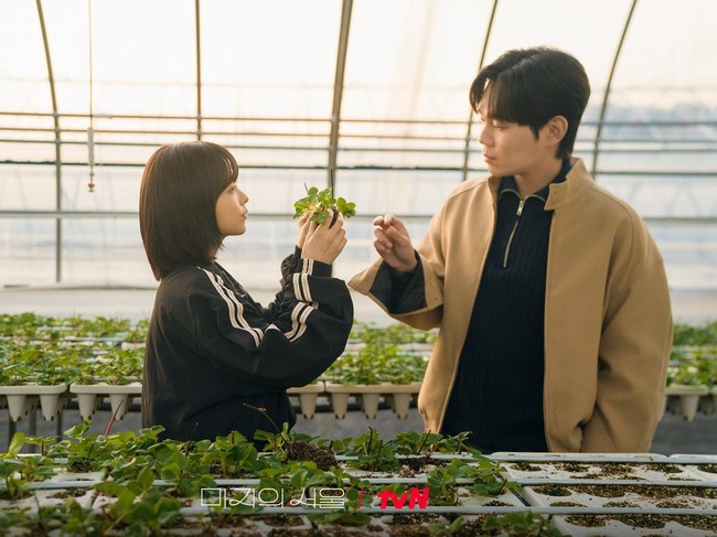 Our Unwritten Seoul Drama Korea Our Unwritten Seoul.
