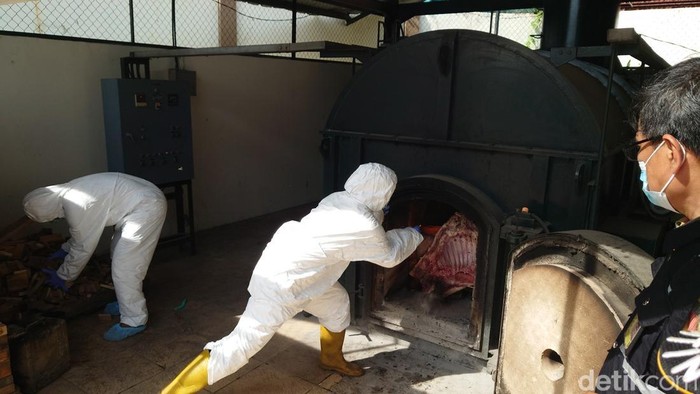 Pemusnahan daging celeng ilegal di Merak (M Iqbal/detikcom)