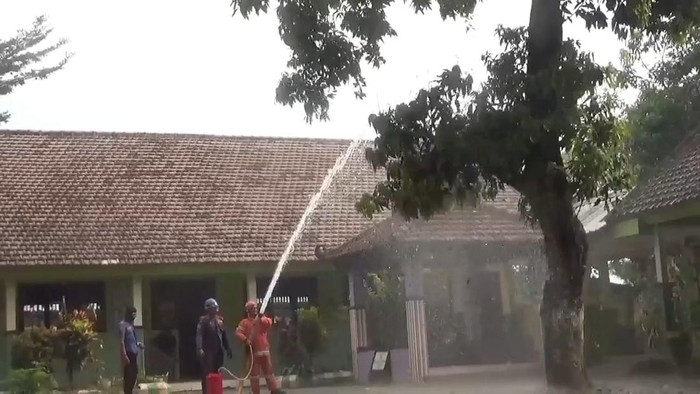 Penanganan ulat bulu di SDN Menganto, Jombang dengan cairan insektisida.