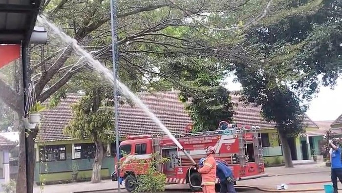 Penanganan ulat bulu di SDN Menganto, Jombang dengan cairan insektisida.