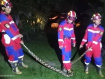 Ancam Keselamatan Warga, 50 Ekor Ular Dievakuasi Damkar Bengkulu