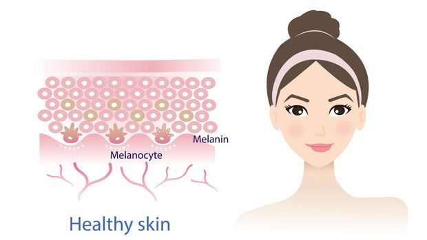 Skincare dan Skin Barrier