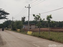 Sawah di Madiun Diuruk, Dinilai Lawan Ketahanan Pangan Prabowo
