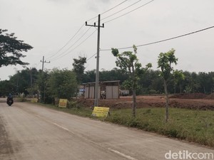 Polda Jatim Selidiki Sawah di Madiun yang Diuruk untuk Dibangun Pabrik