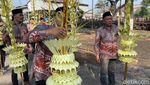Tradisi Manten Tebu Tandai Dimulainya Musim Giling di Kediri