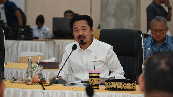 Wakil Ketua MPR RI Rusdi Kirana