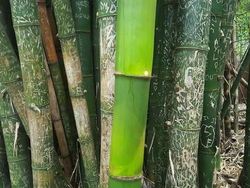 Siap-siap Tercengang! Foto dari Angle Tak Biasa