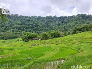 Masih Dipakai Orang Jawa buat Hitung Tanah, 1 Ubin Berapa Meter?