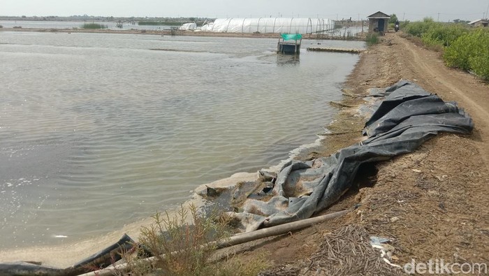 Kampung garam di Indramayu Kampung garam di Indramayu