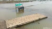 Petani akan memulai produksi pada bulan Juni 2025. Selain karena masih banyaknya curah hujan. Sebagian petambak masih sibuk di persawahan.