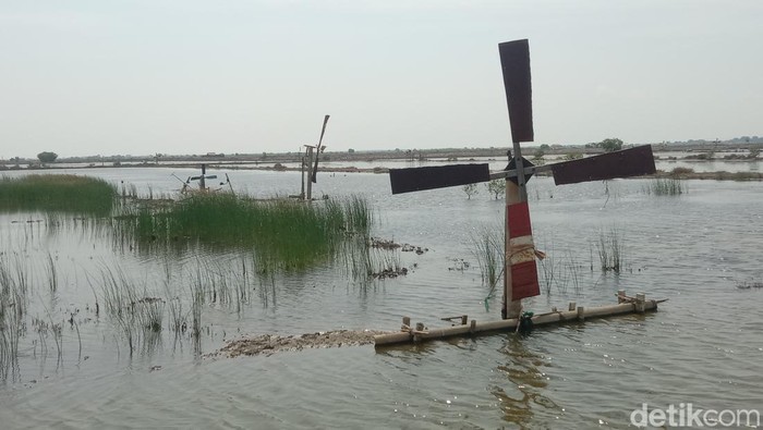 Kampung garam di Indramayu Kampung garam di Indramayu