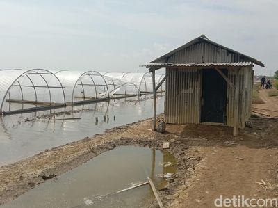 Potret Kampung Garam di Indramayu yang Masih Tertidur