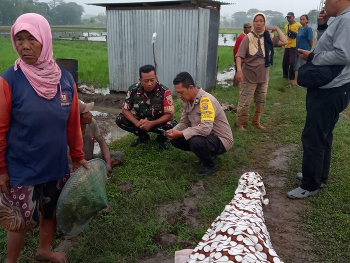 Lansia tewas kena jebakan tikus di Madiun
