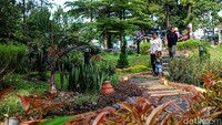 Studio Alam TVRI kini juga dibuka untuk destinasi wisata seperti kegiatan piknik, outbound, maupun acara komunitas.   