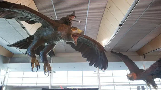 Patung Elang Raksasa di Bandara Wellington