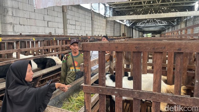 Perternakan kambing di Mojokerto mulai ramai pembeli jelang Idul Adha